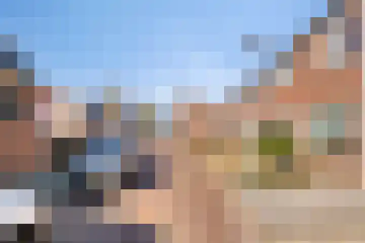 Bijendonk 17 Maasbree thumbnail 36
