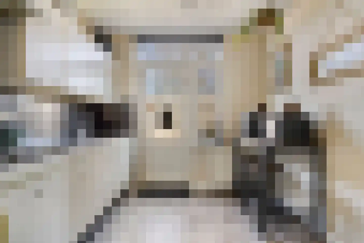 Bijendonk 17 Maasbree thumbnail 8