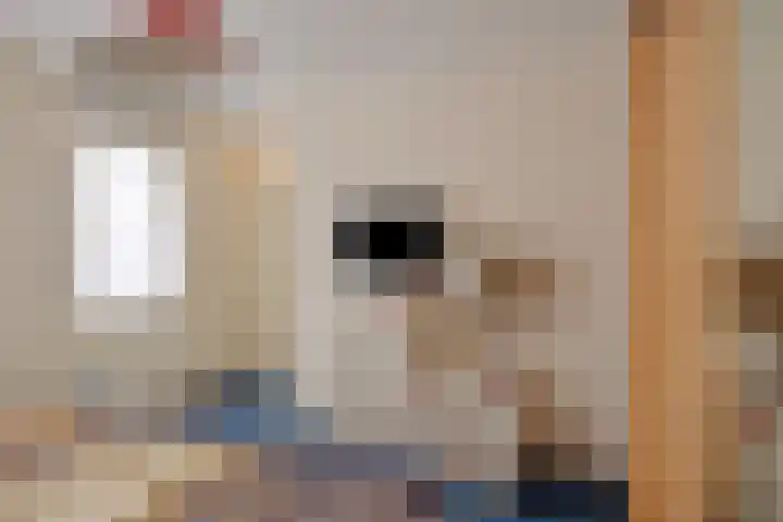 Bijenhof 5 Teteringen thumbnail 16