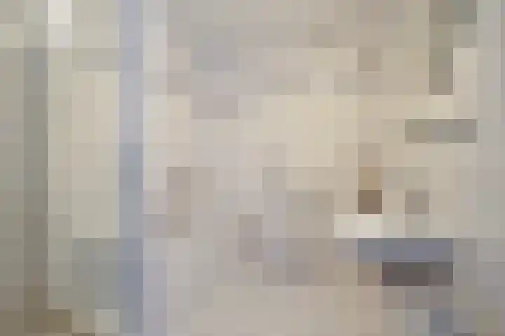 Bijenhof 5 Teteringen thumbnail 17