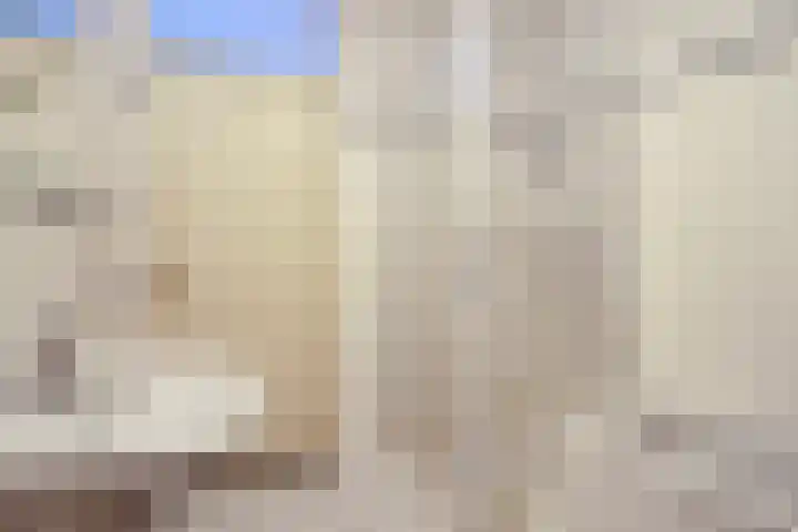 Bijenhof 5 Teteringen thumbnail 18