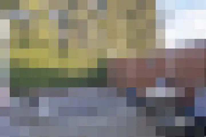 Bijenhof 5 Teteringen thumbnail 28