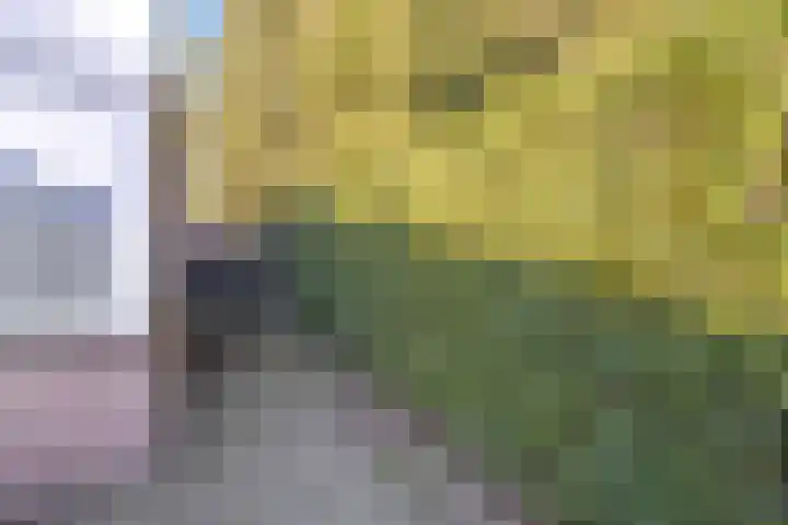 Bijenhof 5 Teteringen thumbnail 31