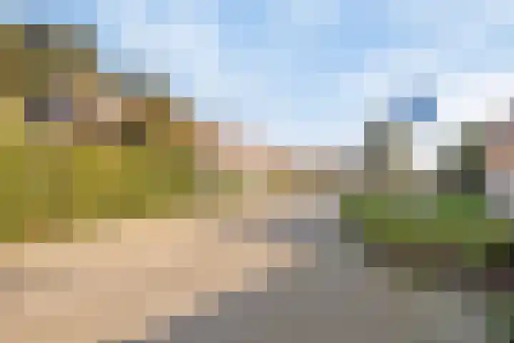 Bijenhof 5 Teteringen thumbnail 4