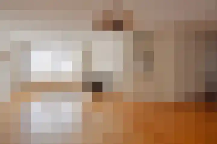 Bijenhof 5 Teteringen thumbnail 9