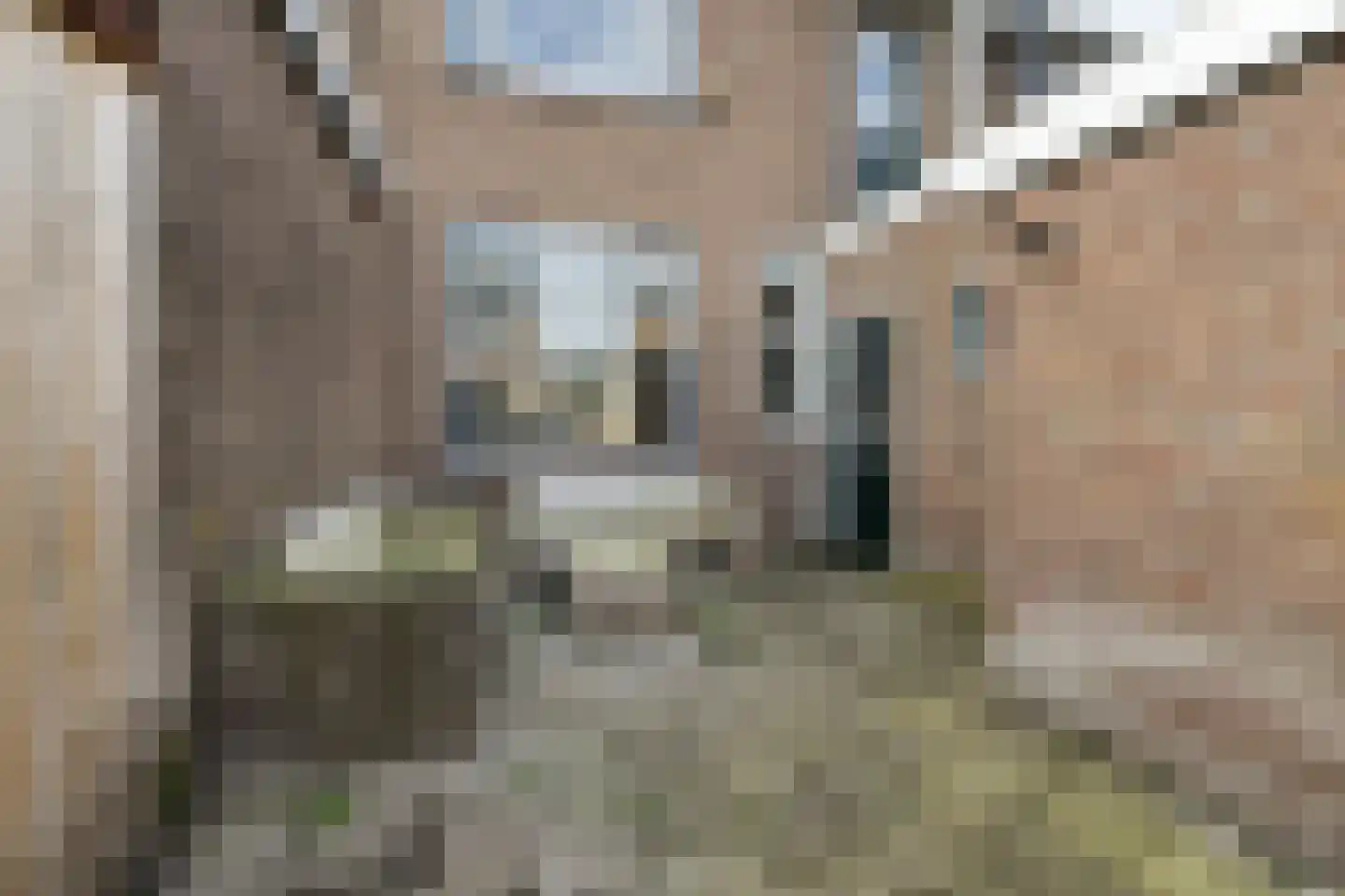 Bijenhofstraat 37 Leeuwarden thumbnail 49