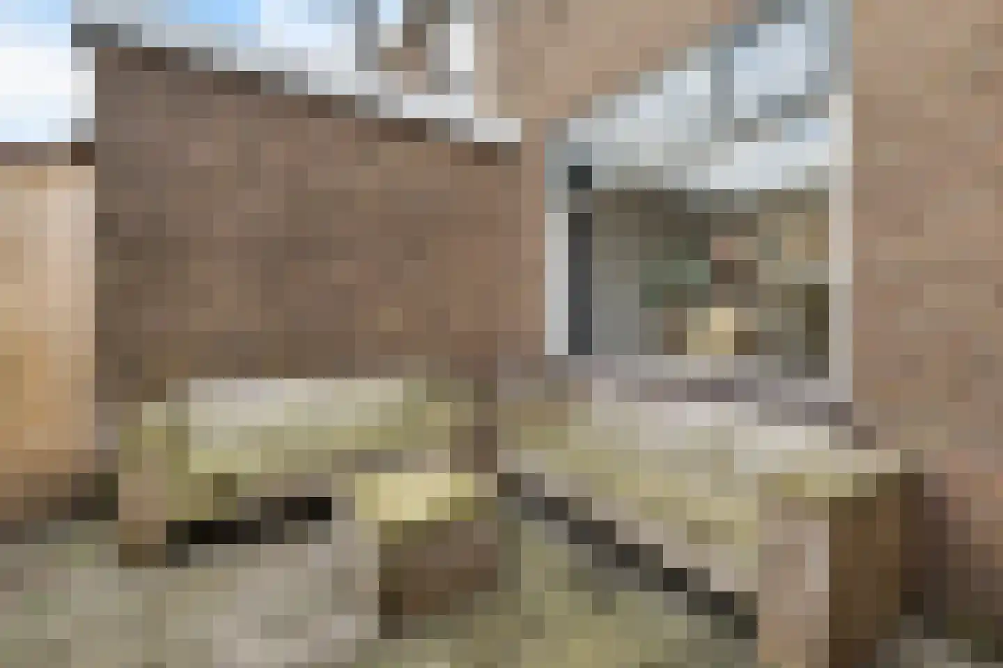 Bijenhofstraat 37 Leeuwarden thumbnail 51
