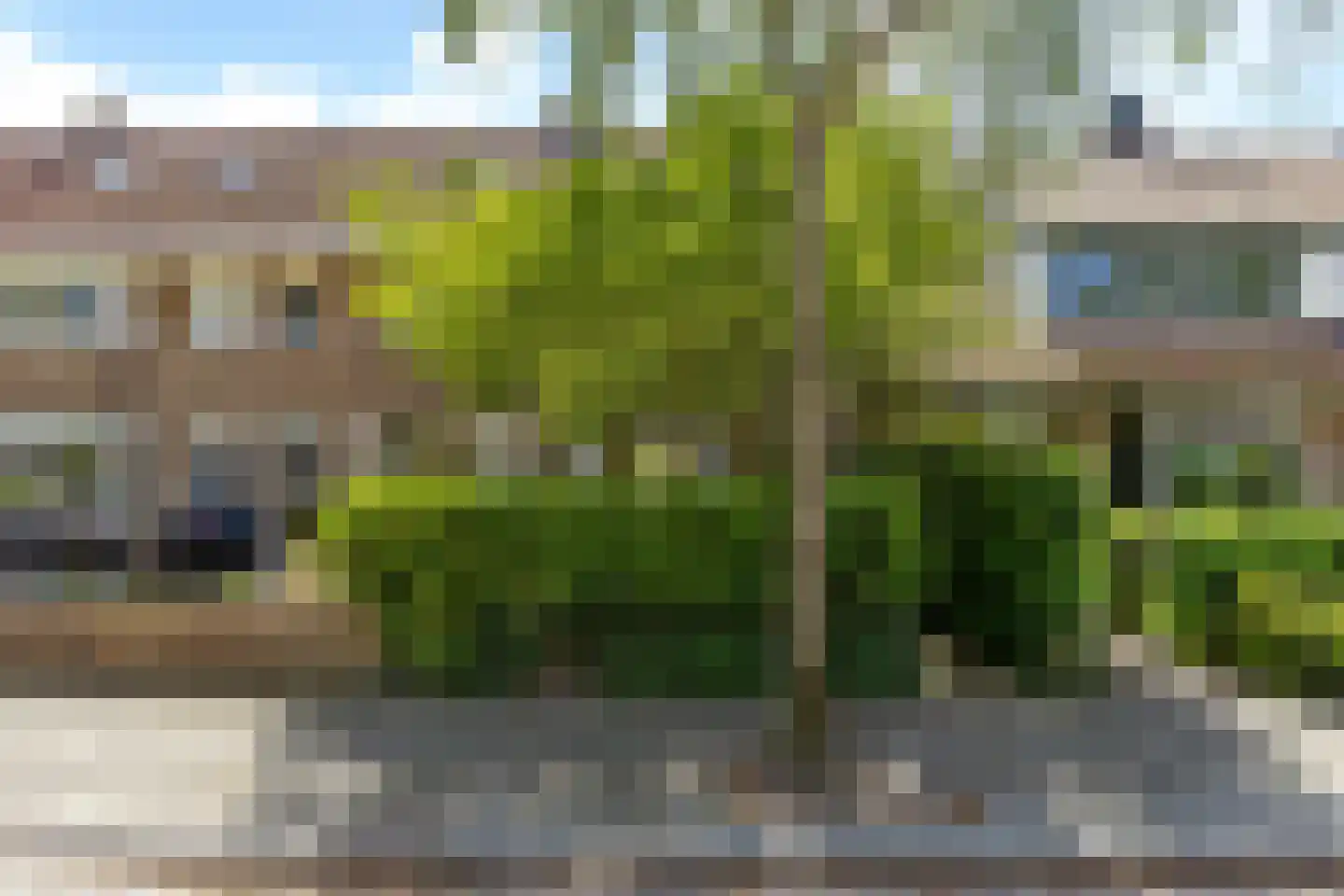 Bijenhofstraat 68 Leeuwarden thumbnail 47