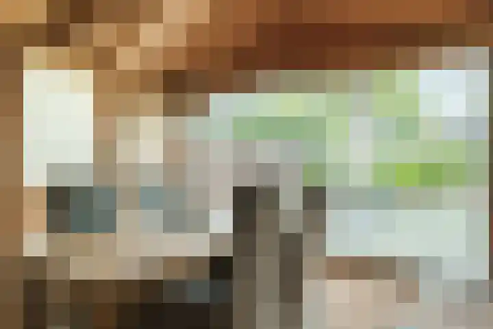 Bijenkamp 10 Zuidwolde thumbnail 12