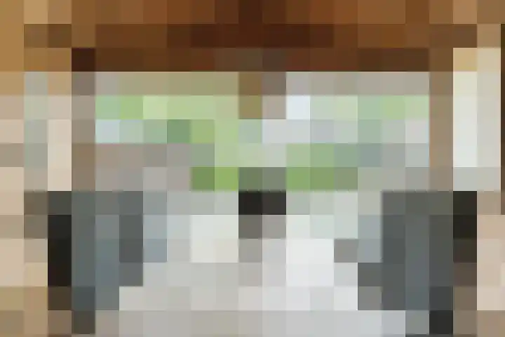 Bijenkamp 10 Zuidwolde thumbnail 13