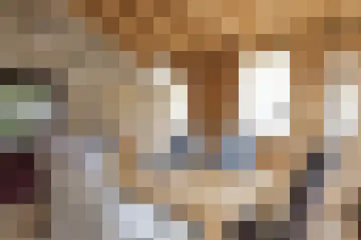 Bijenkamp 10 Zuidwolde thumbnail 15