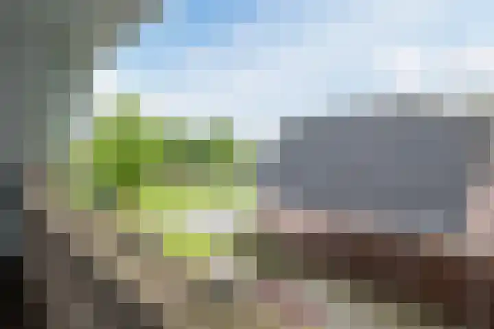 Bijenkamp 10 Zuidwolde thumbnail 27