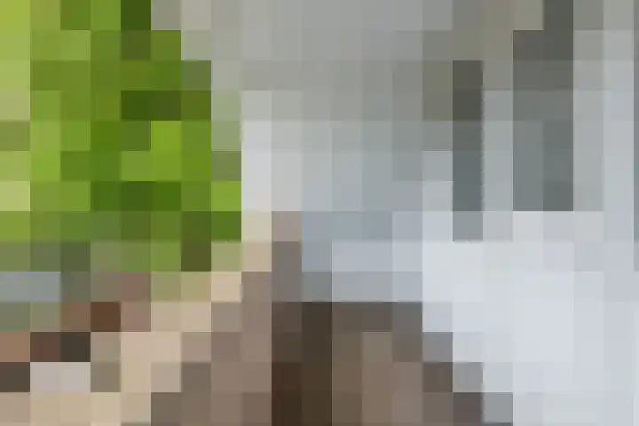 Bijenkamp 10 Zuidwolde thumbnail 28