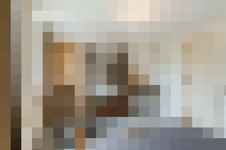 Bijenkamp 10 Zuidwolde thumbnail 33