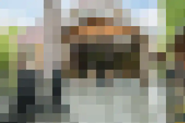 Bijenkamp 10 Zuidwolde thumbnail 35