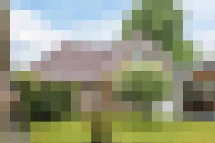 Bijenkamp 10 Zuidwolde thumbnail 37