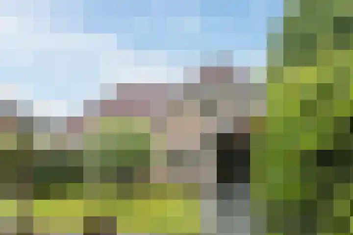 Bijenkamp 10 Zuidwolde thumbnail 38
