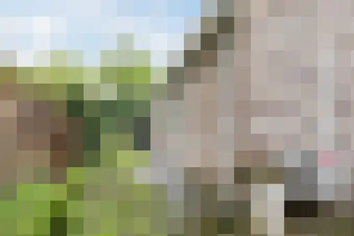 Bijenkamp 10 Zuidwolde thumbnail 39