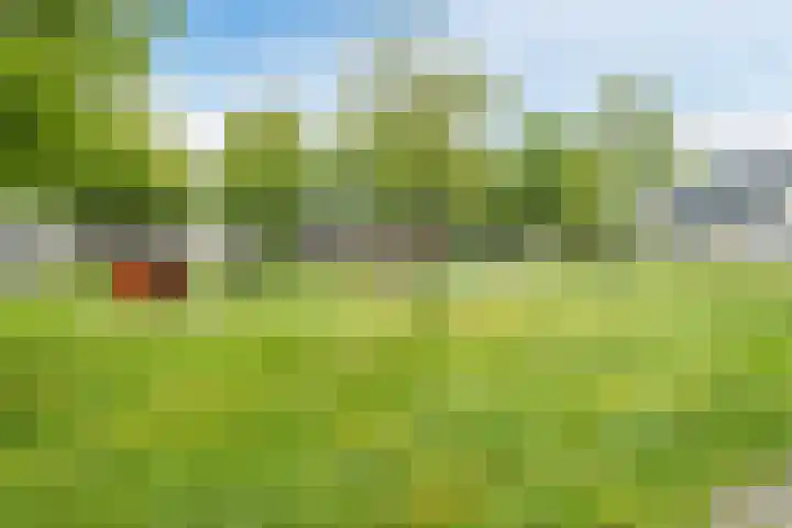 Bijenkamp 10 Zuidwolde thumbnail 42