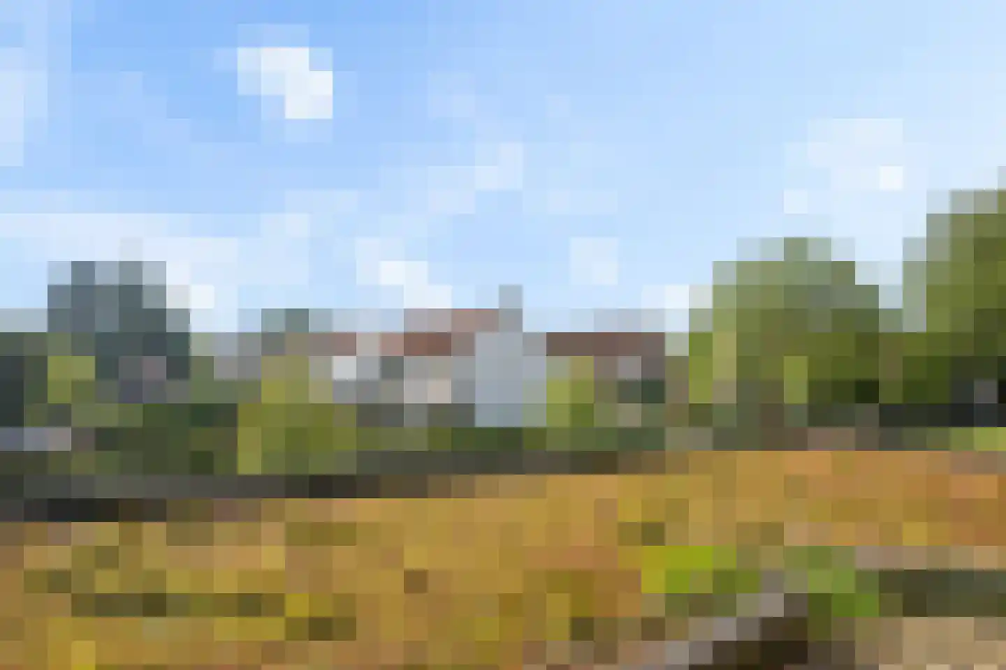 Bijenkorf 18 Leersum thumbnail 11