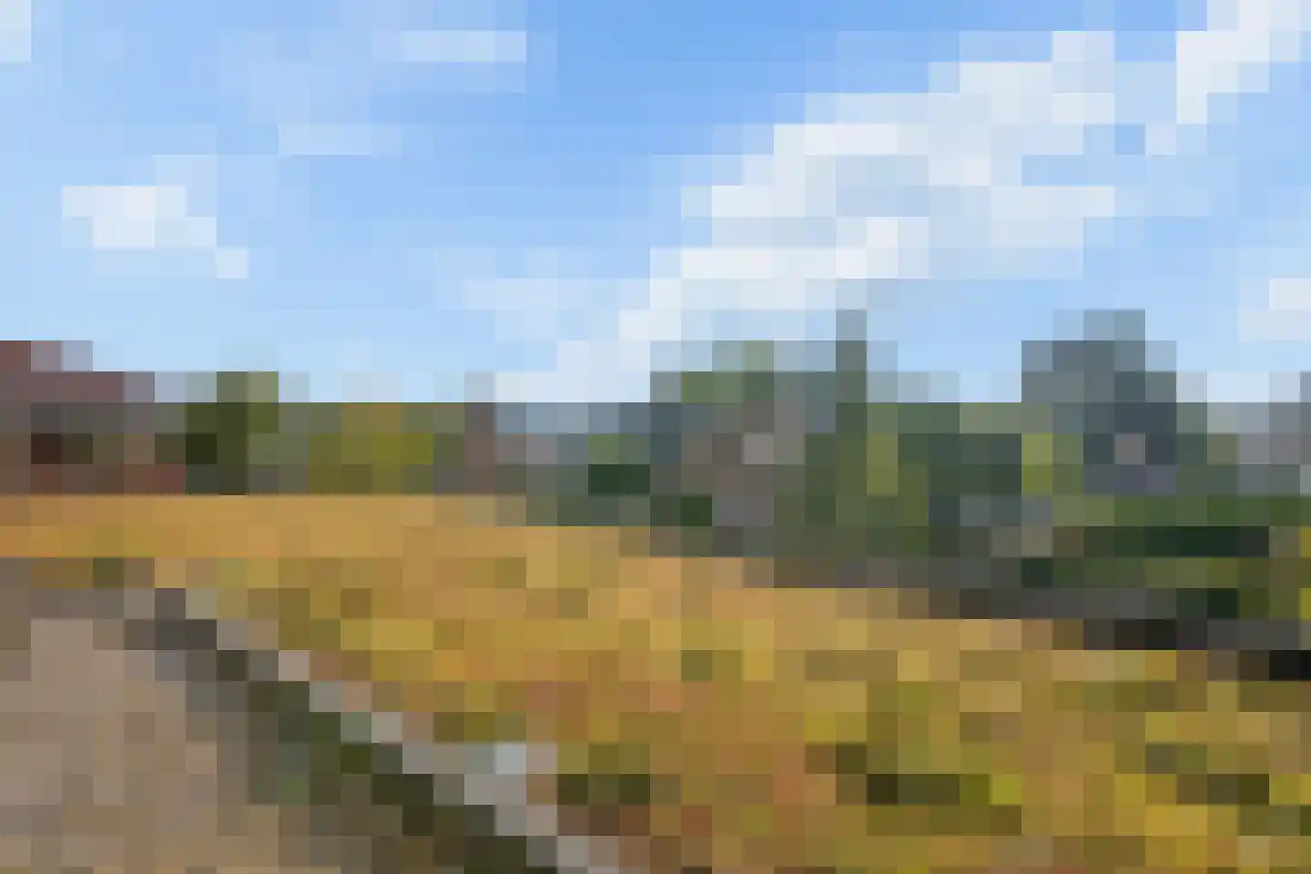 Bijenkorf 18 Leersum thumbnail 12