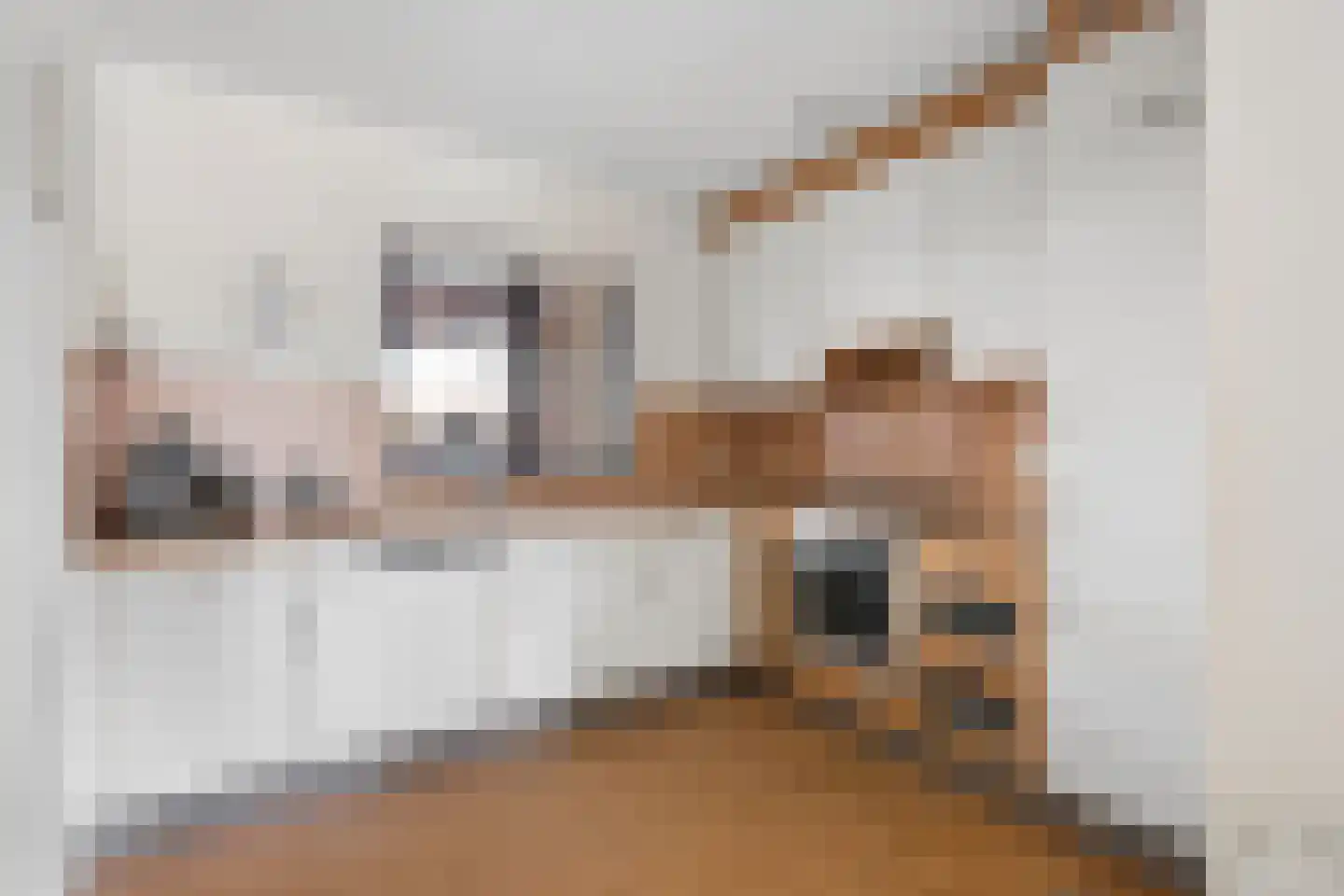 Bijenkorf 18 Leersum thumbnail 13