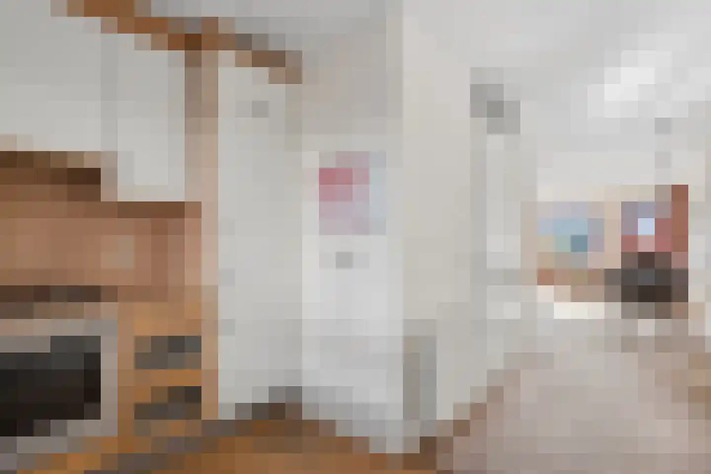 Bijenkorf 18 Leersum thumbnail 14