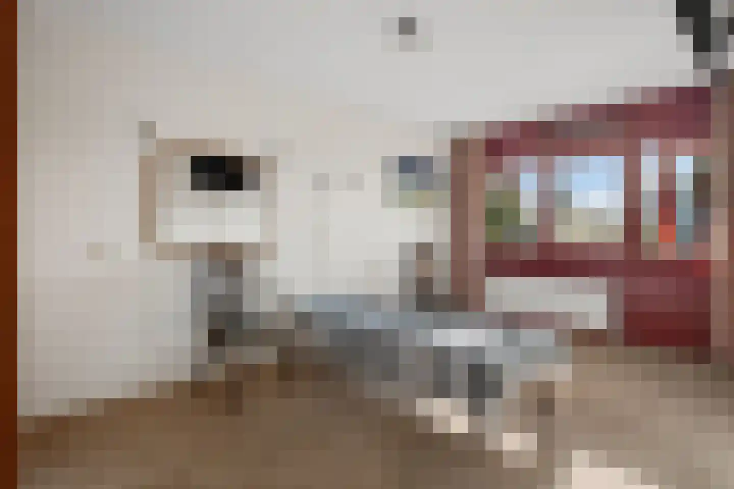 Bijenkorf 18 Leersum thumbnail 16