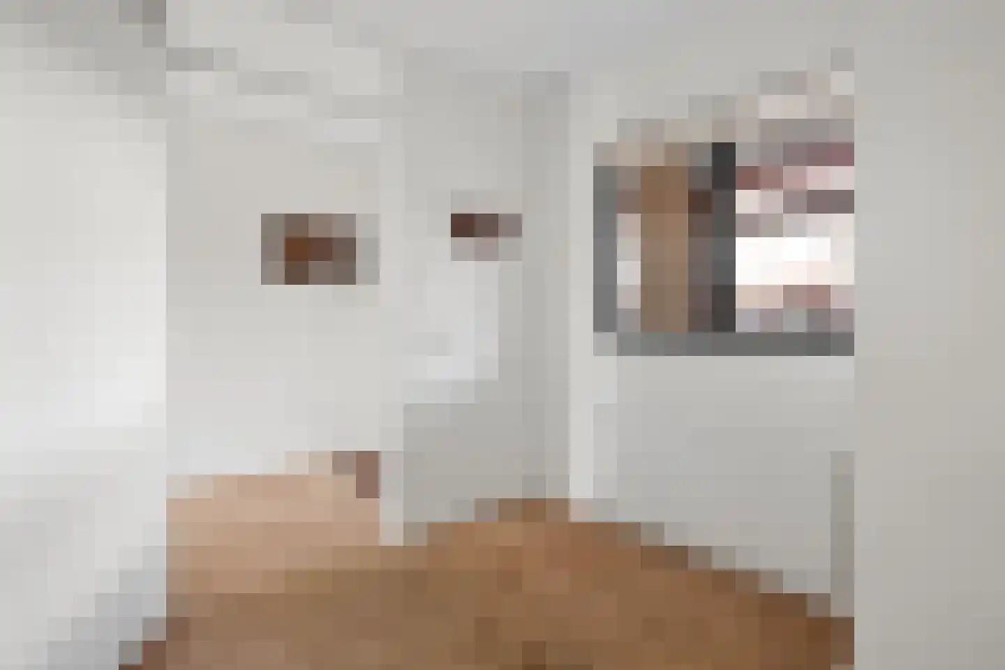 Bijenkorf 18 Leersum thumbnail 19
