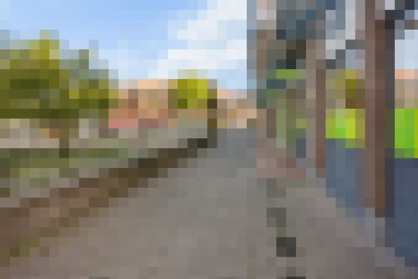 Bijenkorf 18 Leersum thumbnail 25