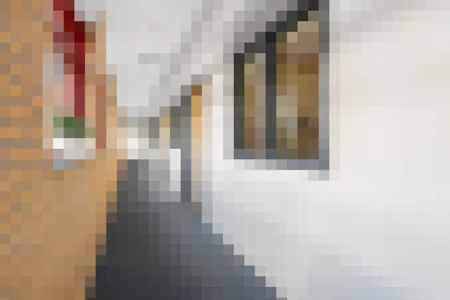 Bijenkorf 18 Leersum thumbnail 28
