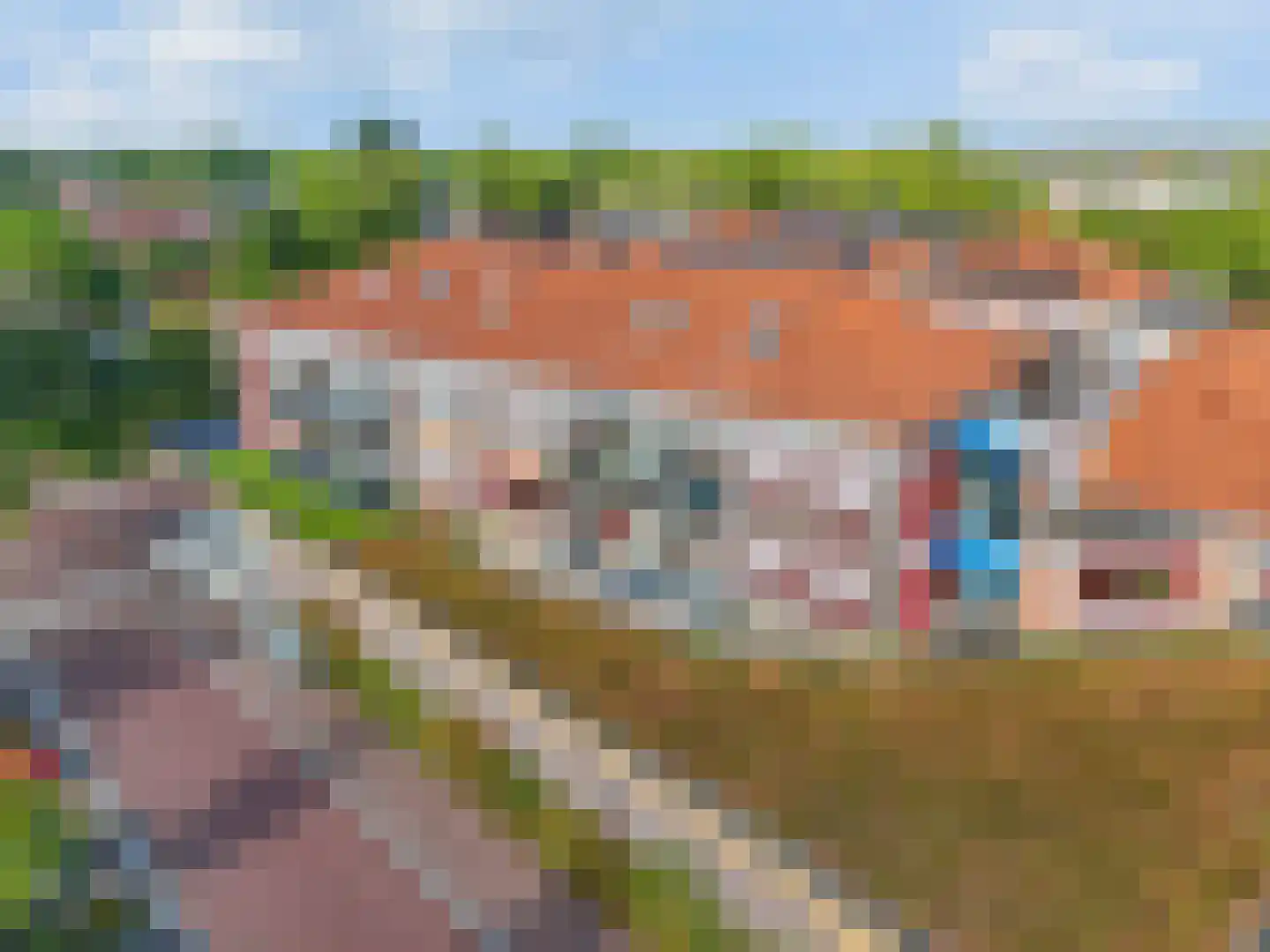 Bijenkorf 18 Leersum foto 3