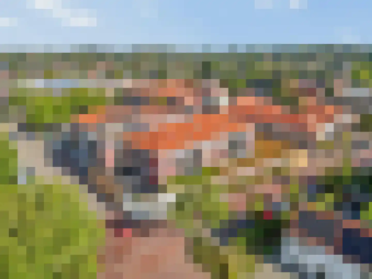 Bijenkorf 18 Leersum thumbnail 31