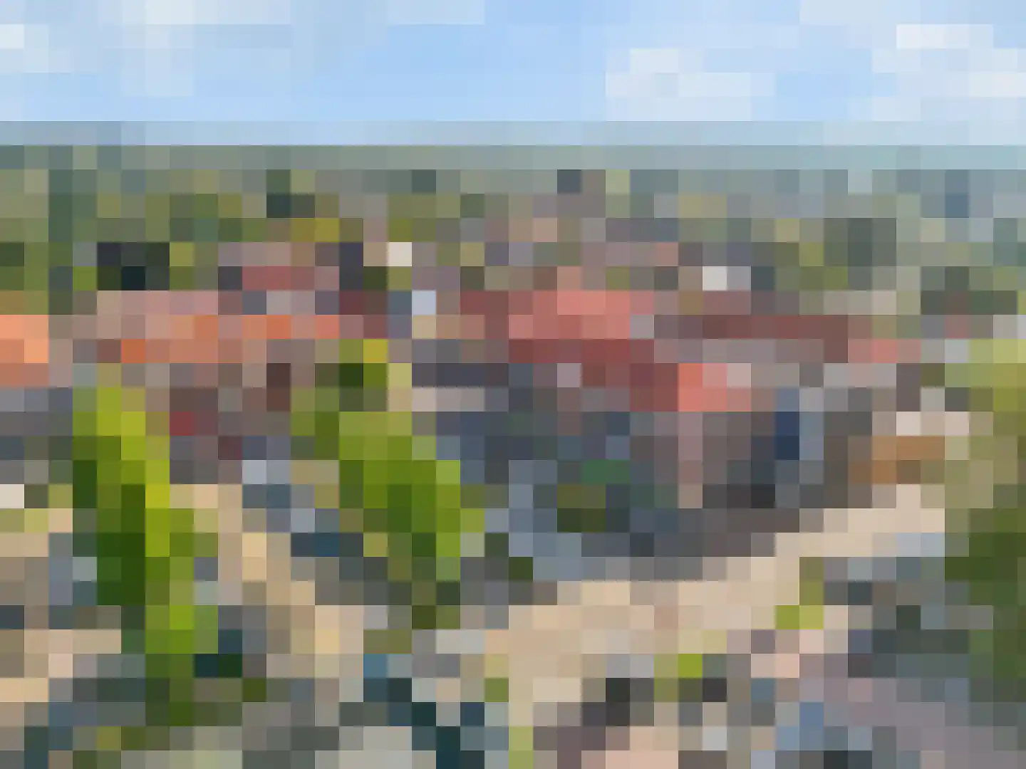 Bijenkorf 18 Leersum thumbnail 32