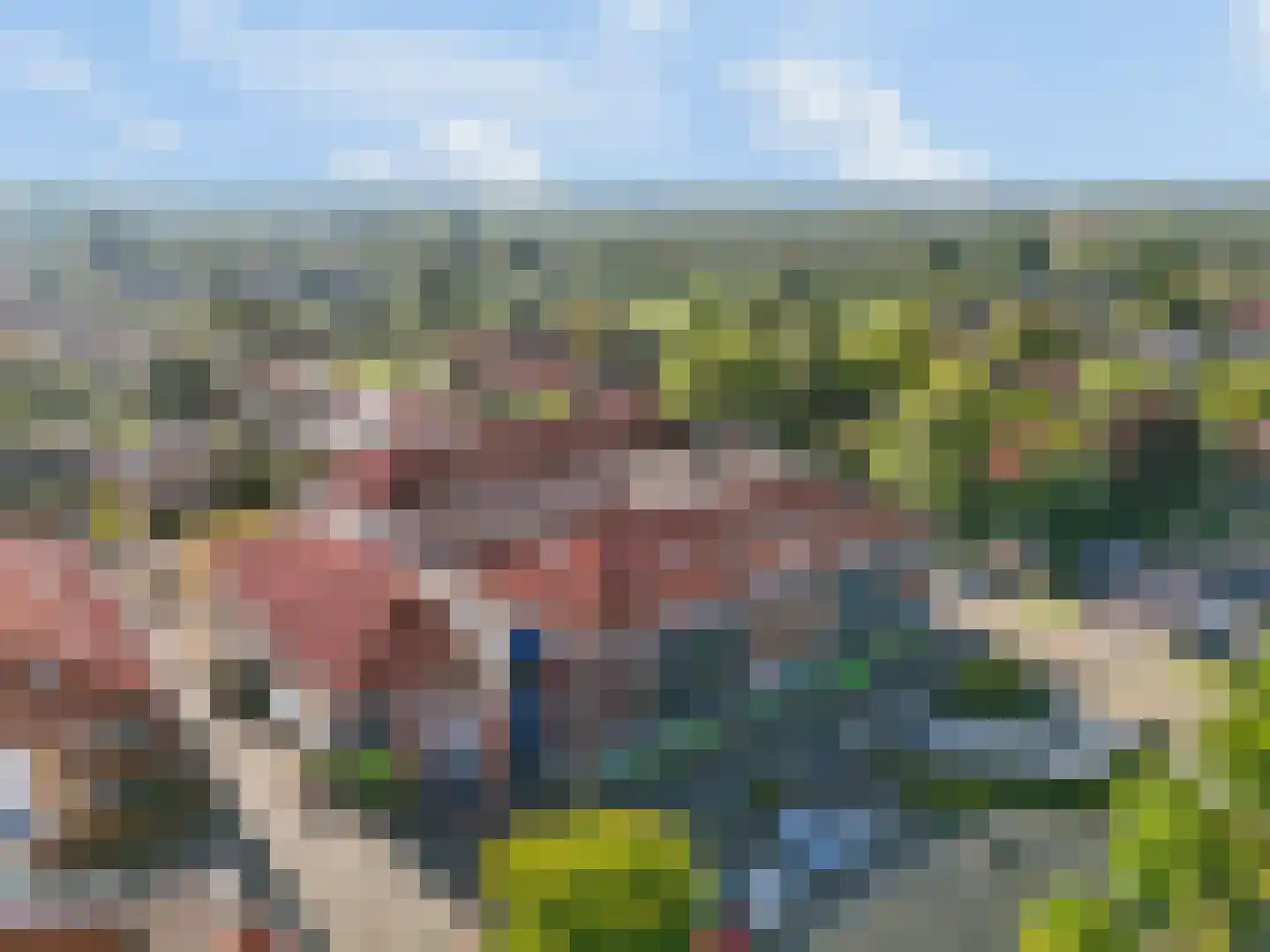 Bijenkorf 18 Leersum thumbnail 33
