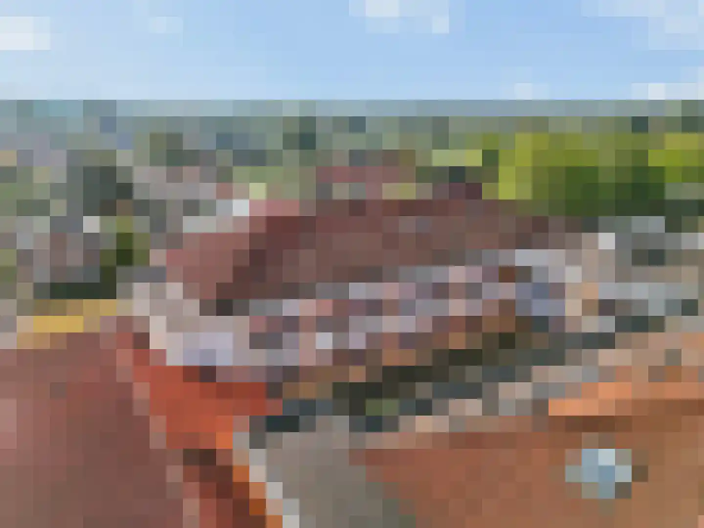 Bijenkorf 18 Leersum thumbnail 34