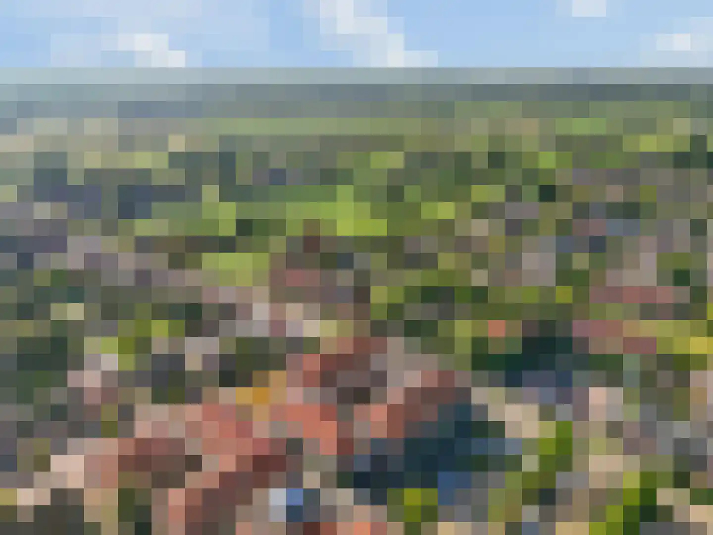 Bijenkorf 18 Leersum thumbnail 35