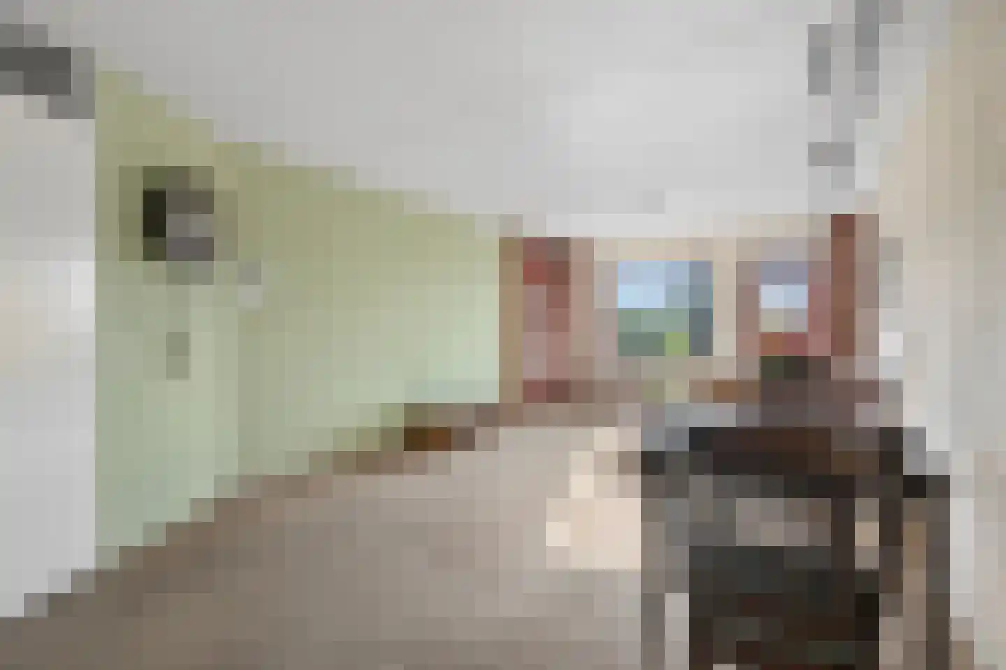 Bijenkorf 18 Leersum thumbnail 5