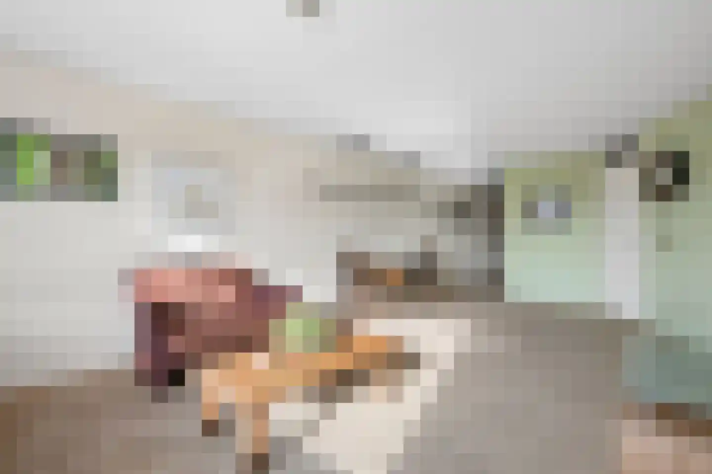 Bijenkorf 18 Leersum thumbnail 6
