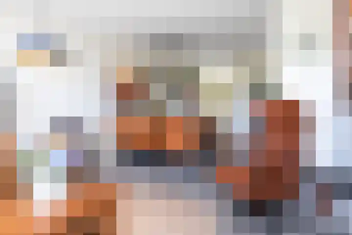 Bijenkorf 24 Eerbeek thumbnail 10