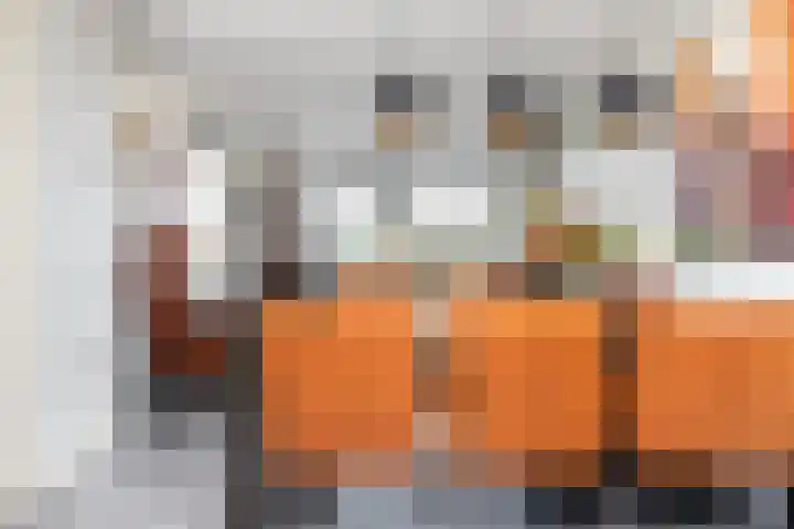 Bijenkorf 24 Eerbeek thumbnail 12