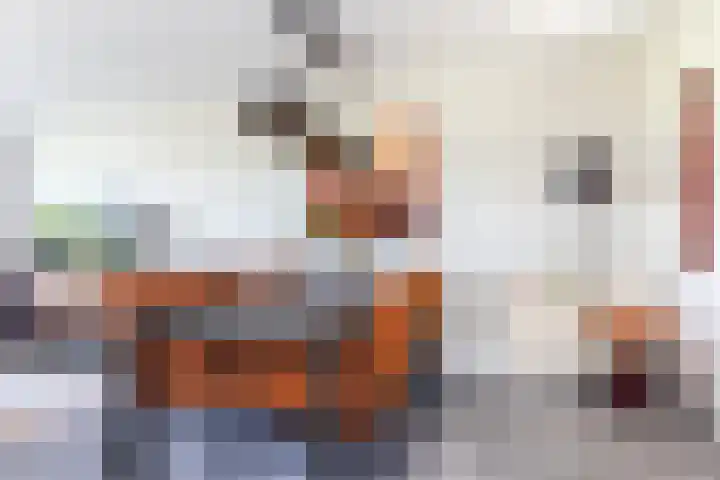 Bijenkorf 24 Eerbeek thumbnail 13