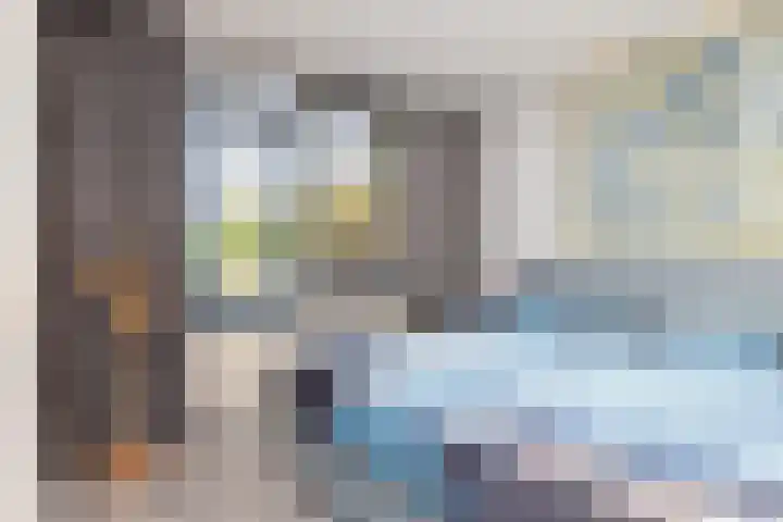 Bijenkorf 24 Eerbeek thumbnail 16