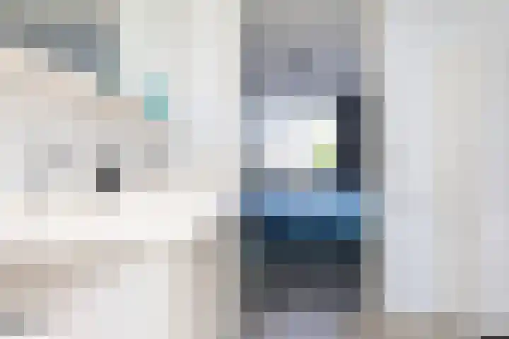 Bijenkorf 24 Eerbeek thumbnail 18
