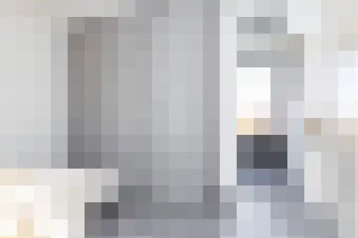 Bijenkorf 24 Eerbeek thumbnail 22