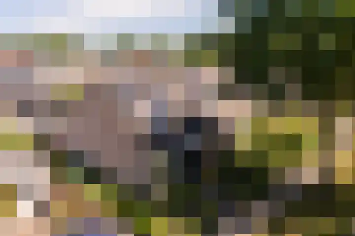 Bijenkorf 24 Eerbeek thumbnail 25
