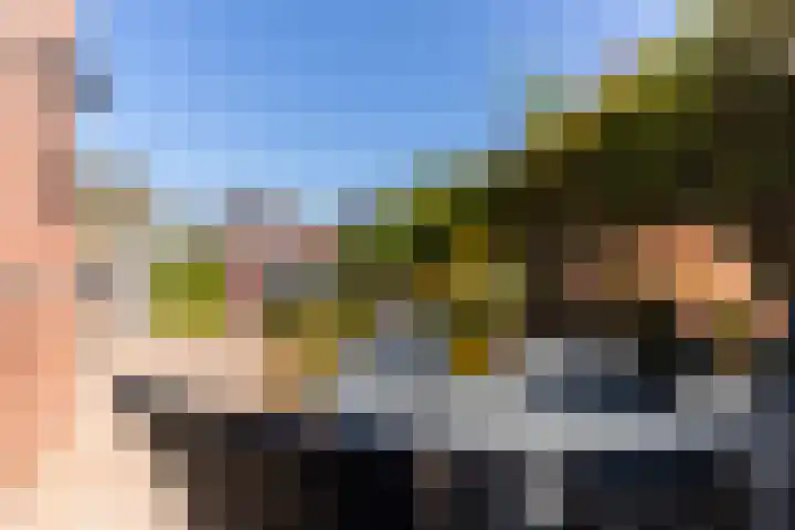 Bijenkorf 24 Eerbeek thumbnail 26