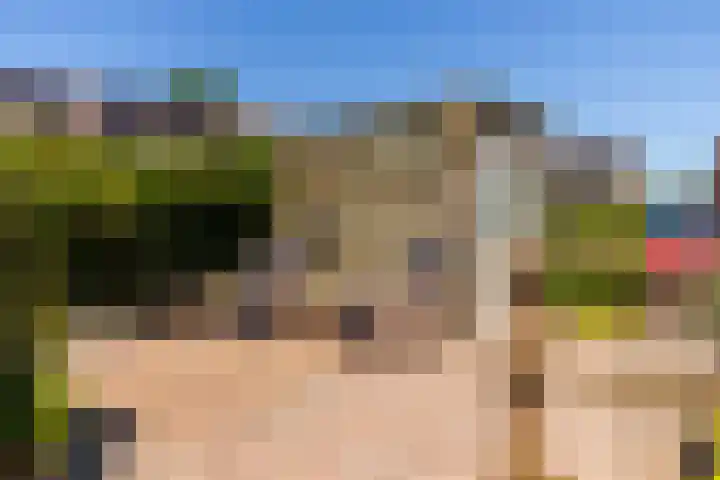 Bijenkorf 24 Eerbeek thumbnail 27