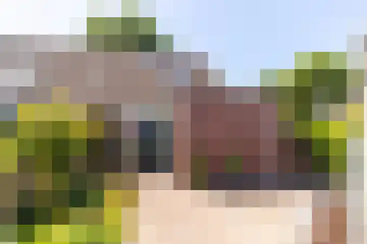 Bijenkorf 24 Eerbeek thumbnail 28