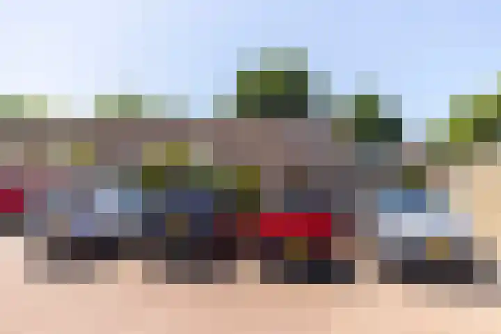 Bijenkorf 24 Eerbeek thumbnail 29